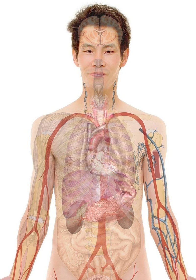 Mindful Body Awareness