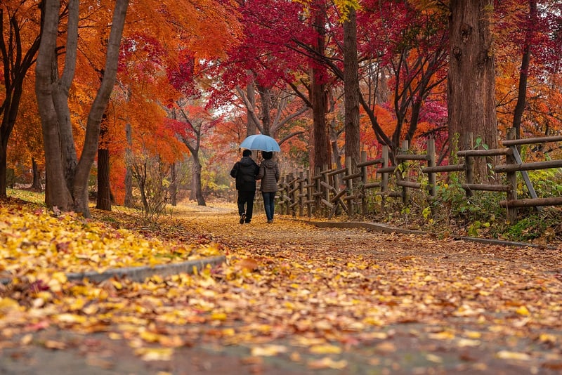 Urban Strolling
